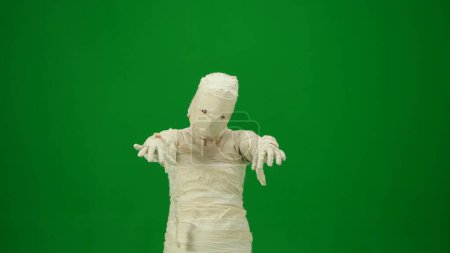 Photo for Green screen isolated chroma key photo capturing a mummy outstretching its arms and as if its trying to scare. Medium size. Mock up, workspace for your promotion clip or advertisement. - Royalty Free Image