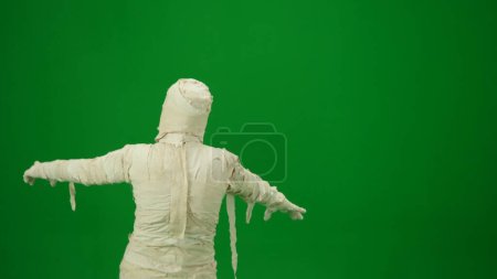 Photo for Green screen isolated chroma key back view photo capturing a mummy outstretching its arms and as if its trying to scare. Medium size. Mock up, workspace for your promotion clip or advertisement. - Royalty Free Image