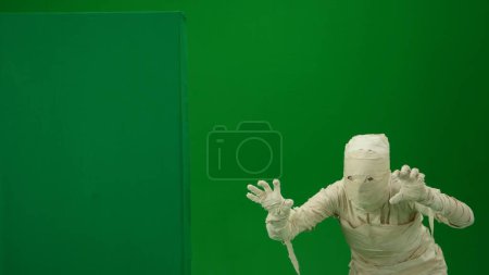 Foto de Pantalla verde aislada croma clave media vuelta foto captura de una momia de pie torcida por una caja de banner de pantalla verde, asustando. De tamaño medio. Prepárate, espacio de trabajo para tu clip de promoción o anuncio. - Imagen libre de derechos