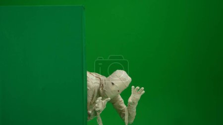 Photo for Green screen isolated chroma key photo capturing a mummy showing from behind a green screen banner box, booing and scaring somebody. Medium size. Mock up for your promotion clip or advertisement. - Royalty Free Image