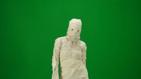 Photo for Green screen isolated chroma key photo capturing a mummy staring ominously into the camera as if its trying to scare. Medium size. Mock up for your promotion clip or advertisement. - Royalty Free Image