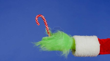 Photo for The Grinchs green haired hand holds a Christmas lollipop on an isolated blue background. Gift kidnapper cosplay. Christmas and New Year celebration concept. Blue screen, chroma key - Royalty Free Image