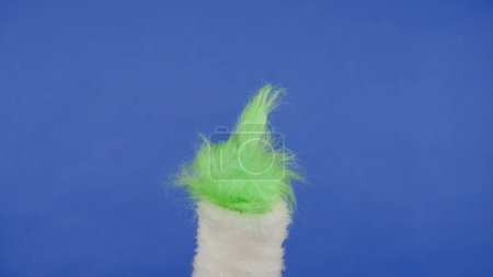 Photo for Green haired hand of Grinch showing middle finger gesture on isolated blue background. Gift snatcher cosplay. Christmas and New Year celebration concept. Blue screen, chroma key - Royalty Free Image