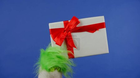 Foto de La mano de pelo verde Grinchs sostiene una caja de regalo blanca con un lazo rojo sobre un fondo azul aislado. Cosplay secuestrador de regalos. Concepto de celebración de Navidad y Año Nuevo. Pantalla azul, croma key. - Imagen libre de derechos