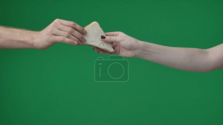 Photo for In the shot close up on the green background. The womans hand holds two pieces of bread with a triangular shape. She reaches out to the man, who takes a pastry with a dark and light piece. - Royalty Free Image