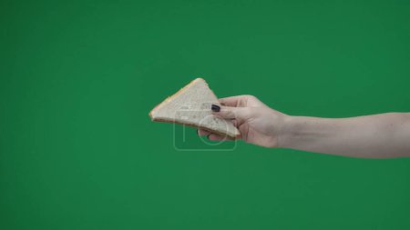 Photo for In the close up shot on the green background. The female hand holds two breadcrumbs with a triangular shape. She extends her hand to the camera. It shows a pastry with a dark and light piece. - Royalty Free Image