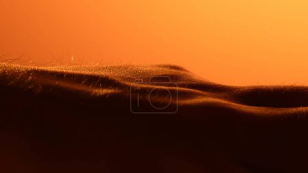 Photo for Detailed drawing of palm skin. Human closeup medicine skin. Healthy naked surface. Orange light. - Royalty Free Image