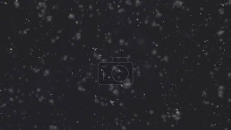 Foto de Invierno nieve esponjosa cae sobre un fondo negro. Efecto de superposición. - Imagen libre de derechos