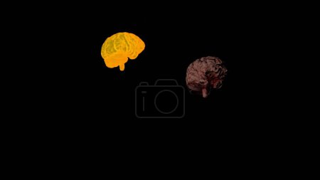 Foto de Cerebro humano y su proyección pulsante sobre fondo negro. Concepto de medicina y tratamiento de enfermedades cerebrales - Imagen libre de derechos