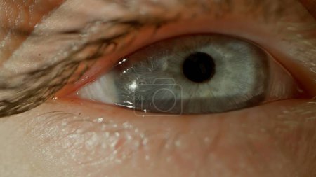 Téléchargez les photos : Le regard pénétrant de l'œil humain. Macro shot. Concept de vision, diagnostic, traitement des maladies - en image libre de droit