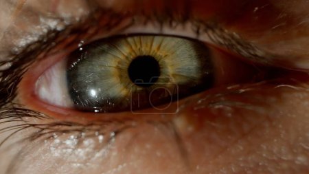 Foto de La mirada penetrante del ojo humano. Macro disparó. Concepto de visión, diagnóstico, tratamiento de enfermedades - Imagen libre de derechos