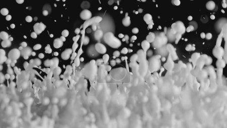 Foto de Milk Splash, Milk splash Milk Drop en cámara lenta. Sobre un fondo negro - Imagen libre de derechos