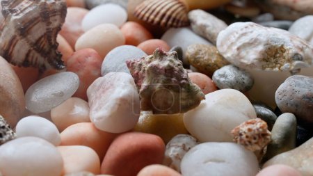 Photo for Sea and ocean life creative advertisement concept. Macro shot of sea bed background. Many beautiful colorful stones pebbles and seashells scattered around. - Royalty Free Image