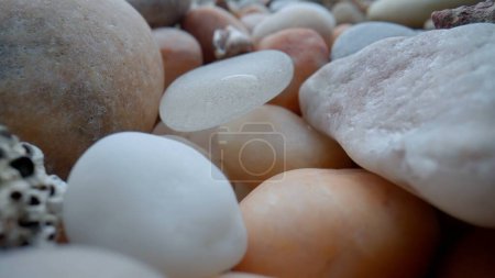 Photo for Sea and ocean life creative advertisement concept. Macro shot of sea bed background. Many beautiful colorful stones pebbles and seashells scattered around. - Royalty Free Image
