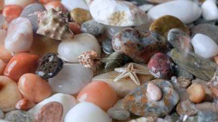 Photo for Sea and ocean life creative concept advertising. Close-up on the background of the sea bottom. Beautiful multicolored stones and shells scattered on the shore and covered with sea water - Royalty Free Image