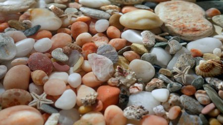 Photo for Sea and ocean life creative advertisement concept. Close up shot of sea bed background. Beautiful colorful stones seashells under water, wave rippling over, sunlight shines through surface - Royalty Free Image