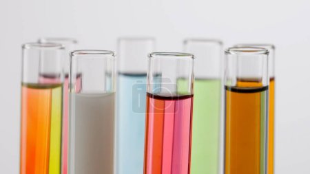 Photo for Science and biotechnology creative concept. Close up shot of laboratory glassware on white background. Test tubes with colorful liquids in laboratory, scientific expertise. - Royalty Free Image