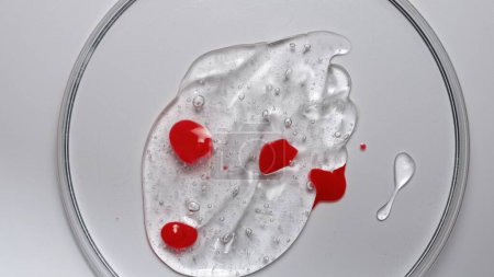 Photo for Liquid and gel creative advertisement concept. Close up shot of transparent substance on the white background. Petri dish with cosmetic product gel or serum and red paint drops on the clear surface - Royalty Free Image