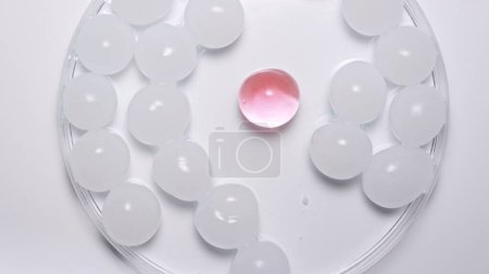 Téléchargez les photos : Beaucoup de sphères d'hydrogel blanc avec une rose. Les sphères rondes brillantes de gel scintillent sur le fond blanc du studio - en image libre de droit