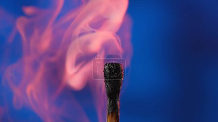 Photo for Macro shot of a black charred match and clouds of pink smoke. Burned extinguished wooden match on dark studio background - Royalty Free Image