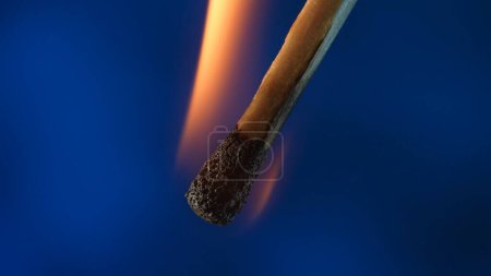 Foto de Macro disparo de un partido en llamas contra un fondo de estudio azul. La llama de la cerilla encendida ilumina el espacio oscuro. El fósforo ardiente está envuelto en una llama naranja - Imagen libre de derechos