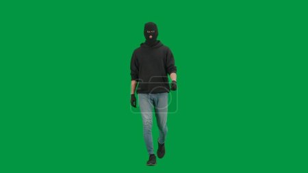 Photo for Robbery and criminal concept. Portrait of thief on chroma key green screen background. Man robber wearing hoodie, jeans and black balaclava, walking getting ready for making a crime. - Royalty Free Image