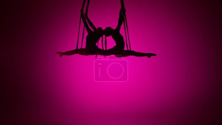 Téléchargez les photos : Chorégraphie moderne et acrobaties concept publicitaire créatif. Silhouette de deux acrobates femelles isolées sur fond néon rose. Filles danseuses aériennes effectuant élément volant sur les cordes. - en image libre de droit