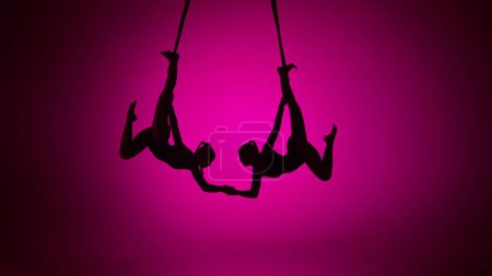 Photo for Modern choreography and acrobatics creative advertisement concept. Silhouette of two female acrobats isolated on pink neon background. Girls aerial dancers performing flying element on ropes. - Royalty Free Image