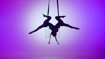 Photo for Modern choreography and acrobatics creative advertisement concept. Silhouette of two female acrobats isolated on purple neon background. Girls aerial dancers performing mirrored flying on ropes. - Royalty Free Image