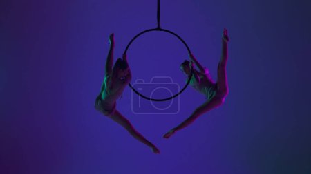 Photo for Modern choreography and acrobatics creative advertisement concept. Two female gymnasts isolated on blue neon studio background. Girls aerial dancers silhouettes show split element on ring with straps. - Royalty Free Image