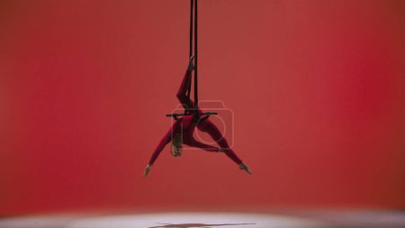 Photo for Modern choreography and acrobatics creative advertisement concept. Female gymnast isolated on red studio background. Girl aerial dancer in bodysuit on acrobatic trapeze with straps perform element. - Royalty Free Image