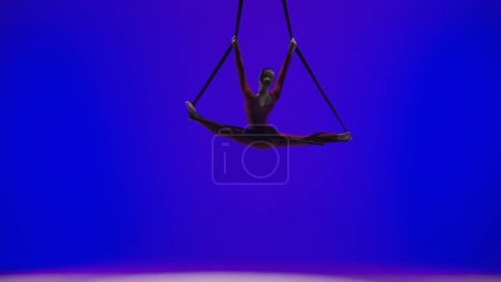 Téléchargez les photos : Chorégraphie moderne et acrobaties concept publicitaire créatif. Gymnaste femelle isolée sur fond bleu néon studio. Fille danseuse aérienne tenant et filant sur des sangles acrobatiques en fente. - en image libre de droit