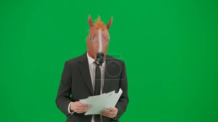 Photo for A man in a business suit with a horse head mask on a green studio background. A businessman looks through papers with charts. Hard office work concept - Royalty Free Image