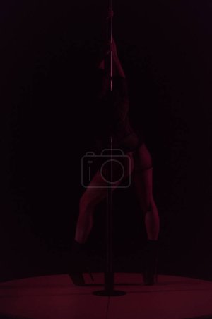 Photo for Silhouette of woman in black mesh jumpsuit posing near pylon pole, back view. Dancer on high heels in studio on dark background of studio - Royalty Free Image