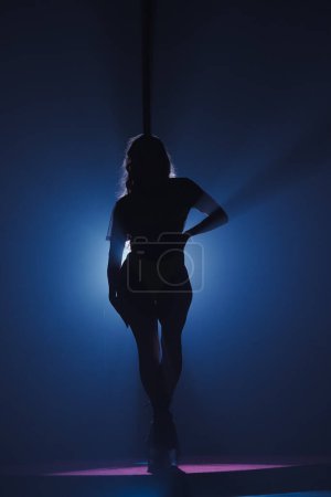Téléchargez les photos : Silhouette sombre de femme souple et plastique dansant sur un poteau. Danseuse aux cheveux longs posant sur pylône dans un studio sombre contre les projecteurs lumineux - en image libre de droit