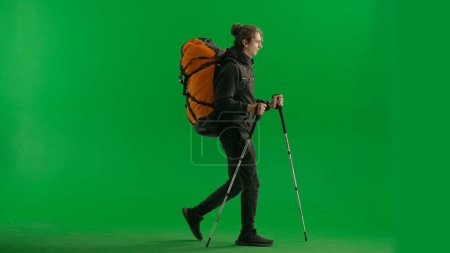 Photo for Tourist traveling using trekking poles on a hike. Full length man with backpack on his back walking on green screen. The concept of hiking. Side view - Royalty Free Image