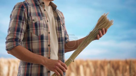 Photo for Agriculture and modern technology concept. Farmer against large field of wheat at sunset. Man agronomist standing in the farm field, holding wheat ears , touching with care checking the straws. - Royalty Free Image