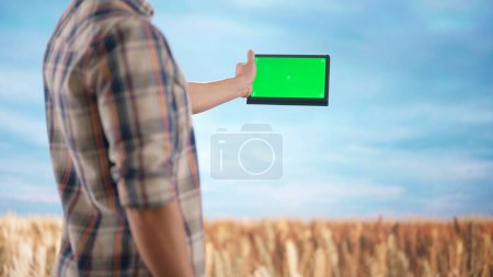 Téléchargez les photos : Agriculture et concept de technologie moderne. Fermier contre grand champ de blé au coucher du soleil. Homme agronome debout dans le champ de la ferme, tenant tablette avec écran vert chromatique, maquette de l'espace de travail. - en image libre de droit