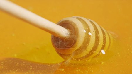 Téléchargez les photos : Concept de publicité alimentaire. Miel bio sain. Miel d'or frais sucré sur fond jaune avec trempette au miel ramassant un liquide épais, gros plan. - en image libre de droit