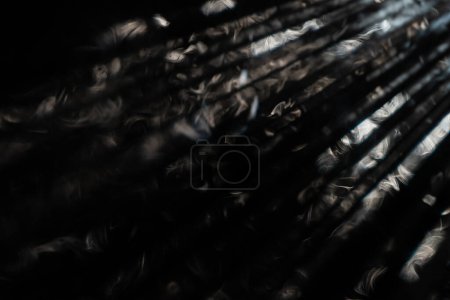 Photo for A captivating display of light piercing through the darkness, creating an abstract play of rays - Royalty Free Image