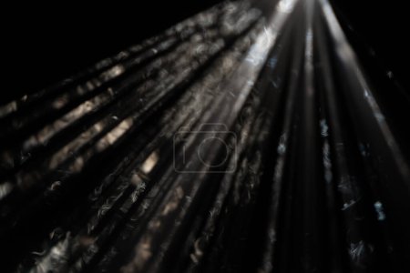 Un cautivador despliegue de luz atravesando la oscuridad, creando un juego abstracto de rayos