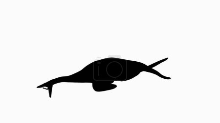 Téléchargez les photos : Silhouette d'un Ichthyosaure, reptile marin, caractérisé par son corps fluidifié et son museau allongé. La silhouette noire simple sur fond blanc offre une représentation claire et ciblée. - en image libre de droit