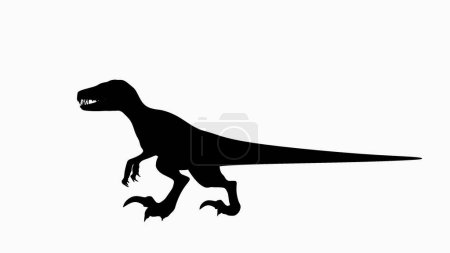 Téléchargez les photos : Silhouette noire d'un vélociraptor, représentée dans une position prédatrice. Dinosaures dents acérées et construction agile, sur un fond blanc. Ce graphique idéal pour un design minimaliste utilise. - en image libre de droit