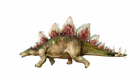 Téléchargez les photos : Le rendu 3D capture un dinosaure Stegosaurus, distingué par sa rangée de plaques arrière aux couleurs uniques et sa queue pointue. Texture réaliste et pose dynamique, sur fond isolé. - en image libre de droit