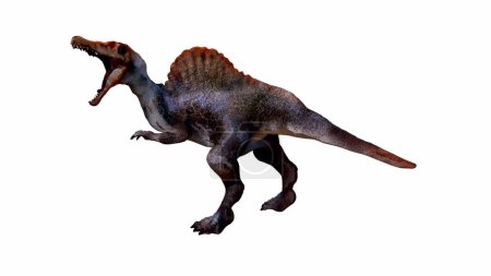 Foto de Ilustración 3D Spinosaurus, conocido por su distintiva vela y hocico alargado. El dinosaurio se representa en una pose agresiva con una textura de piel muy detallada, colocada sobre un fondo aislado. - Imagen libre de derechos