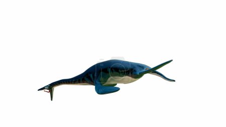 3D rendering Ichthyosaur, a marine reptile, in a swimming pose. Its streamlined body and elongated snout are highlighted, along with a vibrant blue and green color scheme, against a white background.