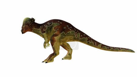 3D rendering Pachycephalosaurus, known for its dome-shaped skull. The dinosaur is shown in a dynamic posture with a detailed patterned skin, set against an isolated background.