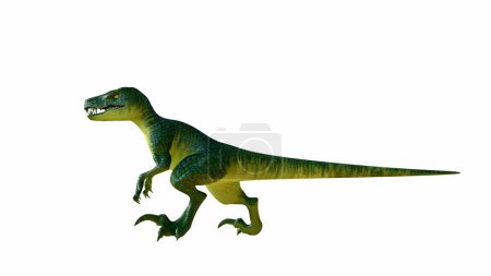 Das 3D-Rendering zeigt einen Velociraptor, der in einer räuberischen Haltung mit einer lebhaften grünen und gelben Gradientenhaut dargestellt wird. Dinosaurier scharfe Zähne und wendige Statur, vor weißem Hintergrund.