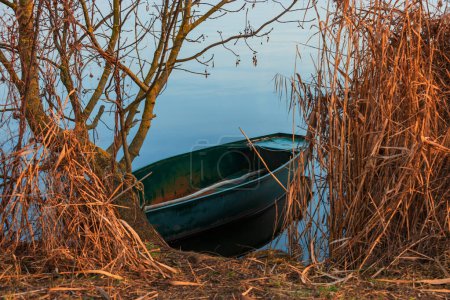 Téléchargez les photos : Bateau de pêche en étain ancré au bord d'un étang par les roseaux d'hiver. - en image libre de droit