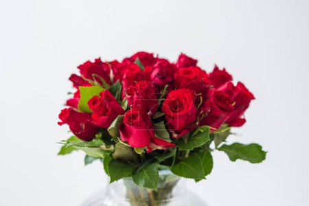 Foto de Un gran ramo de rosas rojas con pétalos verdes - Imagen libre de derechos